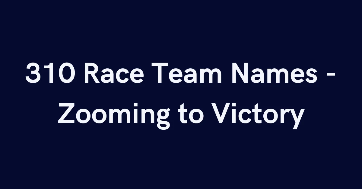 310 Race Team Names - Zooming to Victory